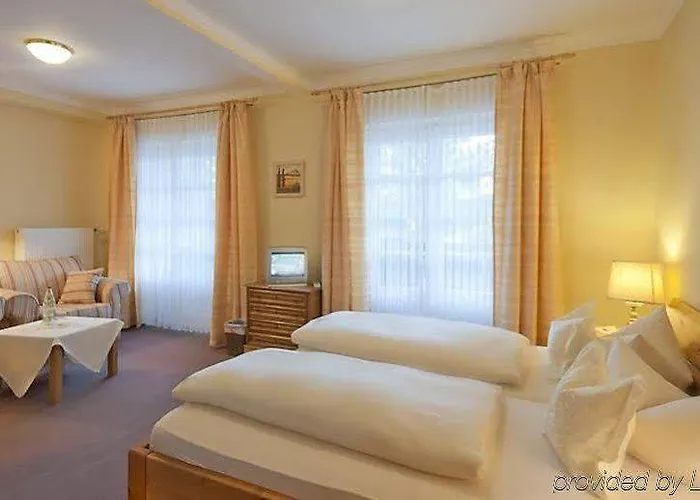 فندق ألبِنسوننه باد ويسي